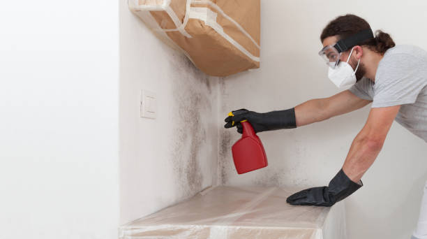 Professional Commercial Mold Remediation technician working in Island Park, NY